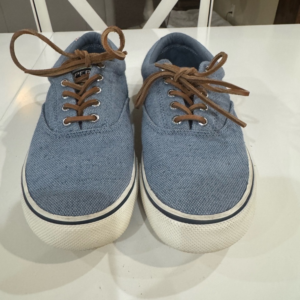 Sperry Casual Blue Canvas Sneakers